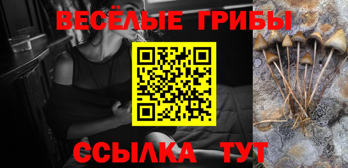 Галлюциногенные грибы ЛСД  Вход с VPN  наркотики  Зерноград  Галлюциногенные грибы Psilocybe 