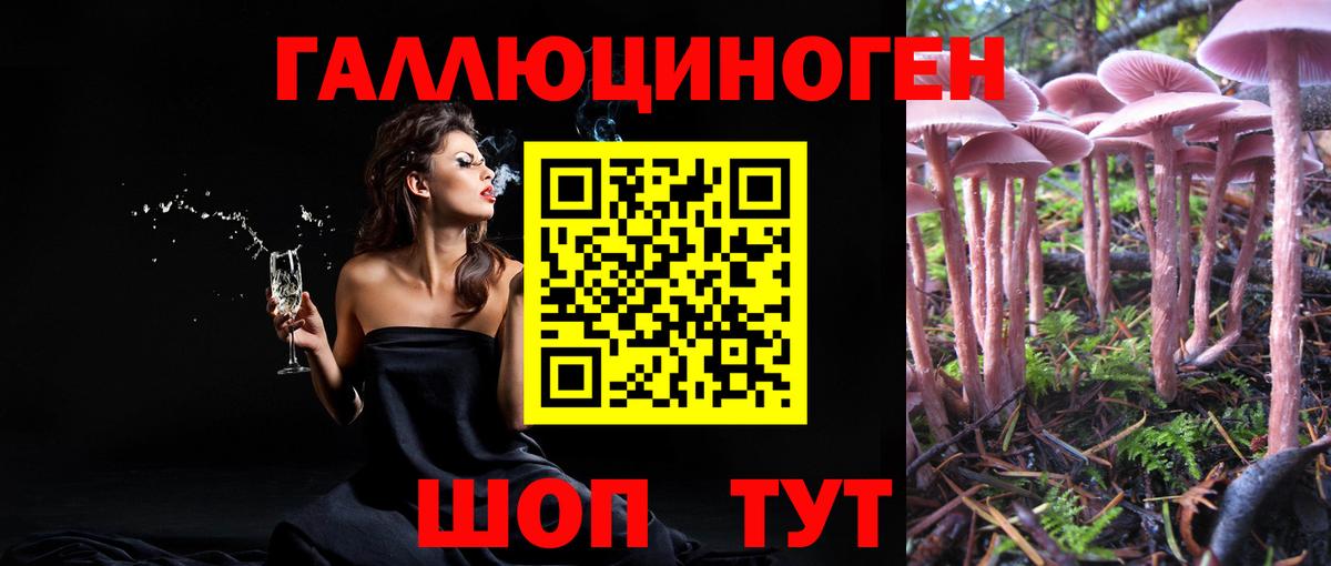 Галлюциногенные грибы Magic Shrooms Зерноград